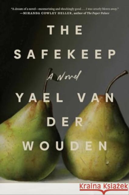 The Safekeep Yael van der Wouden 9781668066195