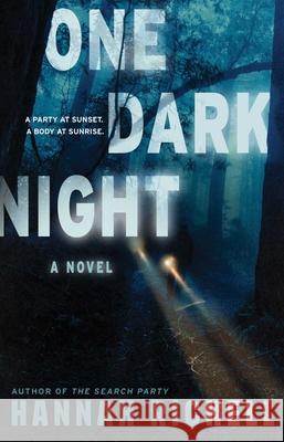 One Dark Night Hannah Richell 9781668081334