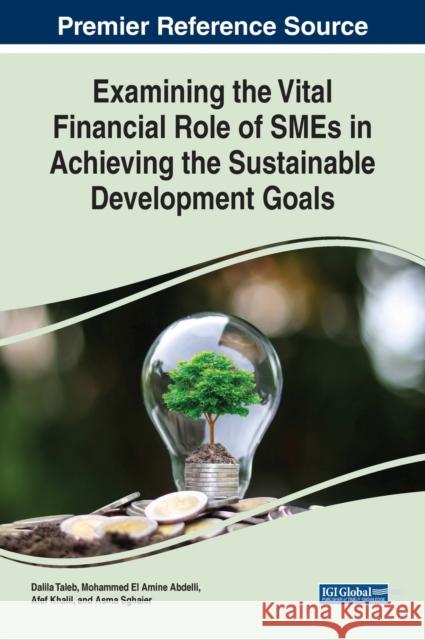 Examining the Vital Financial Role of SMEs in Achieving the Sustainable Development Goals Dalila Taleb Mohammed El Amine Abdelli Afef Khalil 9781668448342 IGI Global