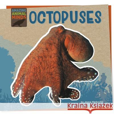 Octopuses Joyce Markovics 9781668927915 Cherry Lake Publishing