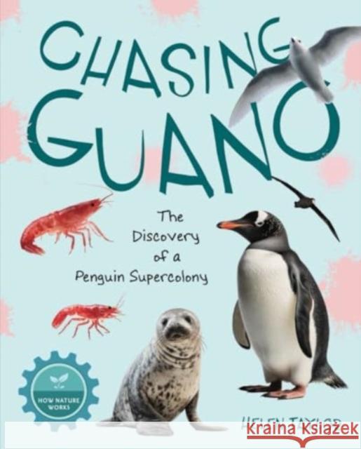 Chasing Guano: The Discovery of a Penguin Supercolony Helen Taylor 9781668944851 Tilbury House Publishers