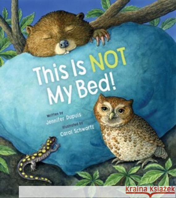 This Is Not My Bed! Jennifer Dupuis Carol Schwartz 9781668955161 Tilbury House Publishers