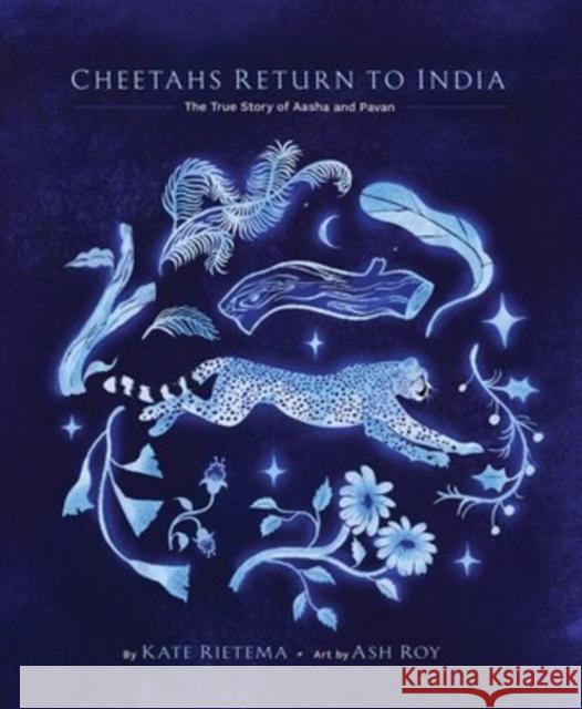 Cheetahs Return to India: The True Story of Aasha and Pavan Kate Rietema 9781668955192 Tilbury House Publishers