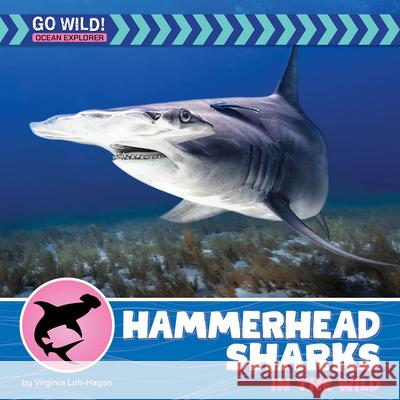 Hammerhead Sharks in the Wild Virginia Loh-Hagan 9781668972779