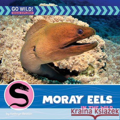 Moray Eels in the Wild Kathryn Beaton 9781668972793