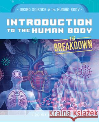 Introduction to the Human Body Virginia Loh-Hagan 9781668973516