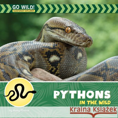 Pythons in the Wild Meeg Pincus 9781668980132 Cherry Lake Publishing