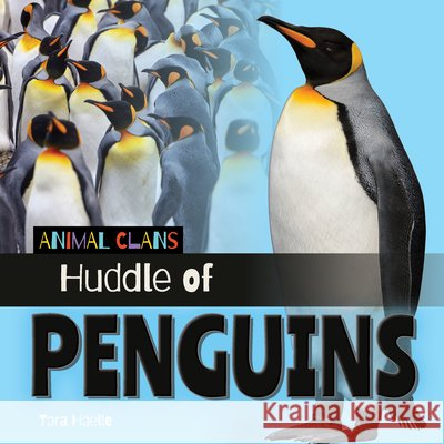 Huddle of Penguins Tara Haelle 9781668980354 Cherry Lake Publishing