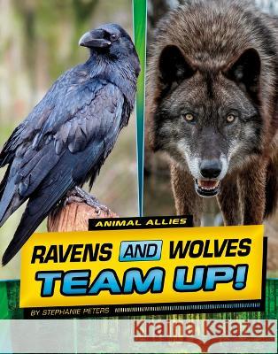 Ravens and Wolves Team Up! Stephanie True Peters 9781669048671 Capstone Press