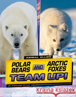 Polar Bears and Arctic Foxes Team Up! Stephanie True Peters 9781669048756 Capstone Press
