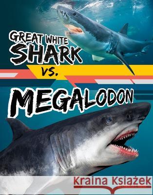 Great White Shark vs. Megalodon Charles C. Hofer 9781669065111 Capstone Press