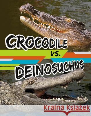 Crocodile vs. Deinosuchus Charles C. Hofer 9781669065135 Capstone Press