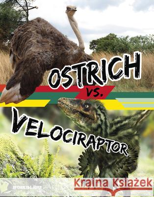 Ostrich vs. Velociraptor Charles C. Hofer 9781669088738 Capstone Press