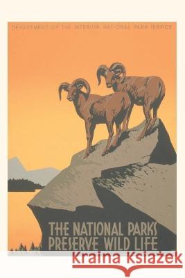 Vintage Journal Big Horn Sheep, Travel Poster Found Image Press   9781669504504 Found Image Press