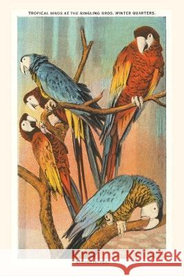 Vintage Journal Macaws, Sarasota, Florida Found Image Press   9781669519249 Found Image Press