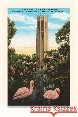 Vintage Journal Flamingos, Singing Tower, Lake Wales, Florida Found Image Press   9781669519539 Found Image Press