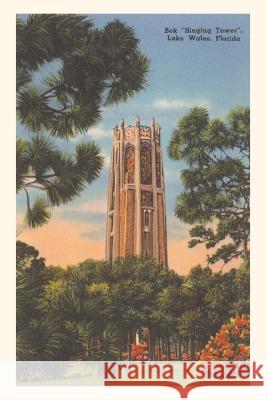Vintage Journal Bok Singing Tower, Lake Wales Found Image Press   9781669519836 Found Image Press
