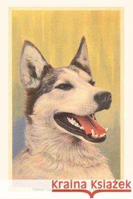 Vintage Journal Siberian Husky Found Image Press   9781669524984 Found Image Press