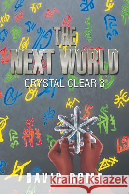 The Next World David Romo   9781669835615 Xlibris Us