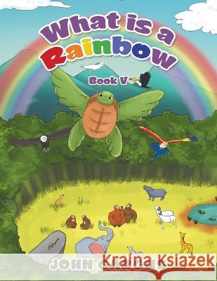What Is a Rainbow: Book V John Gargus 9781669857716
