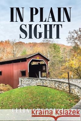 In Plain Sight Celia Crotteau   9781669874331 Xlibris Us