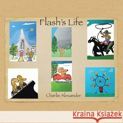 Flash's Life Charlie Alexander   9781669877172