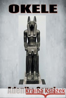 Okele Adenike Sanni 9781669891338