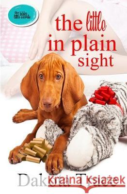 The Little In Plain Sight Dakota Trace 9781670038807