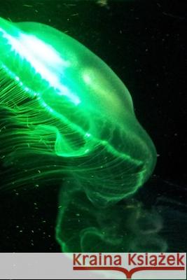 Aquarium: Qualle unter Licht Aqua Rius 9781675943670