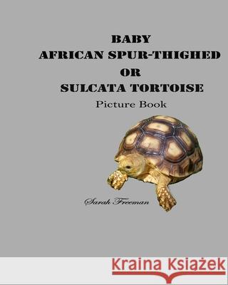 Baby African Spur-Thighed or Sulcata Tortoise Picture Book Sarah Freeman 9781676958147 Independently Published