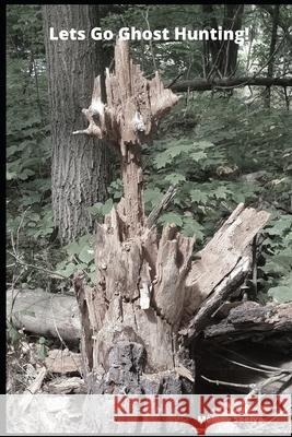 Lets Go Ghost Hunting! Melody Seelye 9781677266425