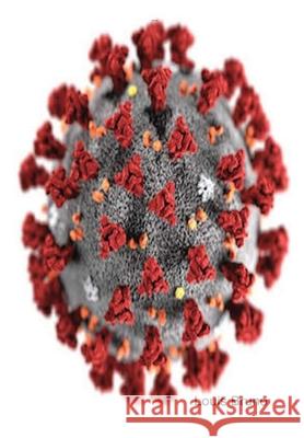 The Dreamers Fury Louis Bruno 9781678017958 Lulu.com