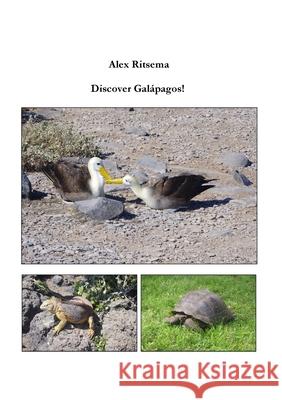 Discover Galápagos! Alex Ritsema 9781678058838 Lulu.com