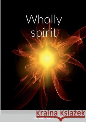 Wholly spirit David Napier 9781678082475