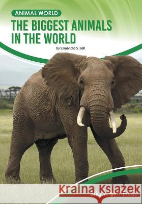 The Biggest Animals in the World Samantha S. Bell 9781678206123 Brightpoint Press