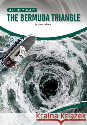 The Bermuda Triangle Yvette Lapierre 9781678206222 Brightpoint Press