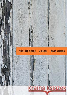 The Lord's Acre David Armand 9781680032208 Texas Review Press