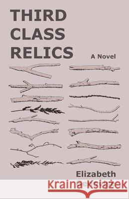 Third Class Relics – A Novel Elizabeth Genovise 9781680033113 