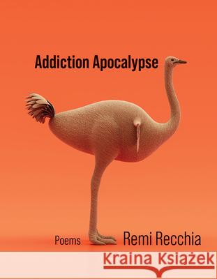 Addiction Apocalypse: Poems Volume 46 Remi Recchia 9781680034165 Trp: The University Press of Shsu