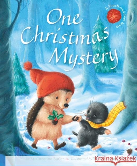 One Christmas Mystery M. Christina Butler Tina Macnaughton 9781680102598 Tiger Tales
