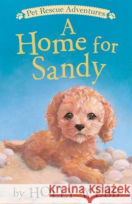 A Home for Sandy Holly Webb Sophy Williams 9781680104080 