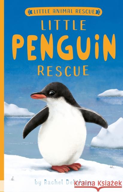 Little Penguin Rescue Rachel Delahaye Suzie Mason Artful Doodlers 9781680104677