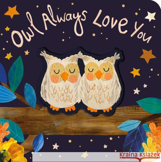 Owl Always Love You Patricia Hegarty Bryony Clarkson 9781680106404 Tiger Tales.