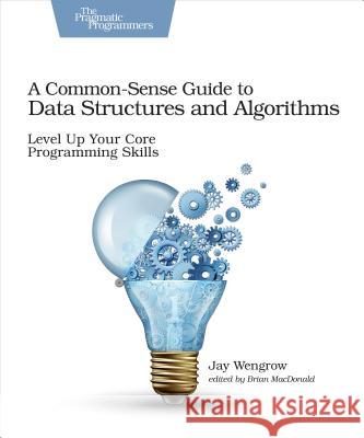 A Common-Sense Guide to Data Structures and Algorithms: Level Up Your Core Programming Skills Wengrow, J 9781680502442
