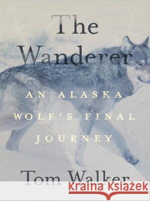 The Wanderer: An Alaska Wolf\'s Final Journey Tom Walker 9781680516135 Mountaineers Books