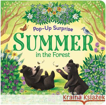 Summer in the Forest Cottage Door Press                       Katya Longhi 9781680524833 Cottage Door Press