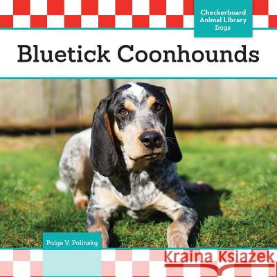 Bluetick Coonhounds Paige V. Polinsky 9781680781755 Checkerboard Library