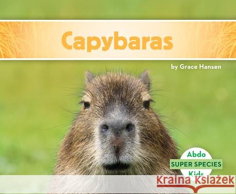 Capybaras Grace Hansen 9781680805437