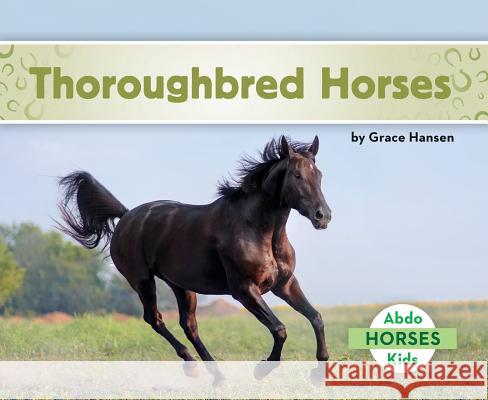 Thoroughbred Horses Grace Hansen 9781680809305 Abdo Kids
