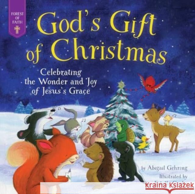 God's Gift of Christmas: Celebrating the Wonder and Joy of Jesus's Grace Abigail Gehring Estelle Corke 9781680999235 Skyhorse Publishing